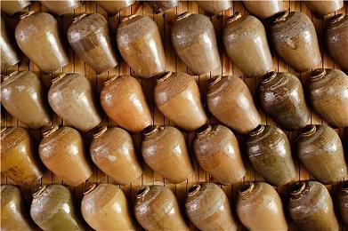 《艾尔登法环：黑夜君临》超长实机演示 合作打怪！