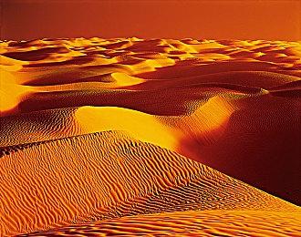 模拟战略类城市建造游戏《凯撒朋克》现已开放测试申请 2025年2月28日推出